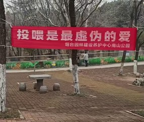 无畏契约石油杯-“投喂是最虚伪的爱！”烟台一动物园标语被指豪横，园方回应“卖投喂食品强制爱”质疑